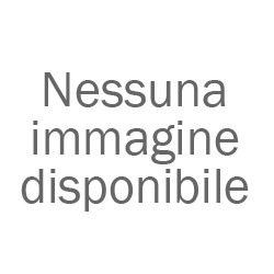 Pubblisav